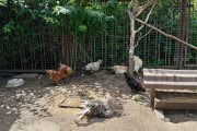 buran-sergposad-msk_service_zoo_01